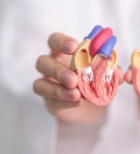 החלפת מסתם בלב - תמונת המחשה